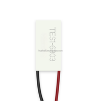 Module Peltier thermoélectrique TES1-6303 15x30mm pour refroidisseur, climatiseur personnalisé, générateur d'eau, kit de refroidissement 5V 12V