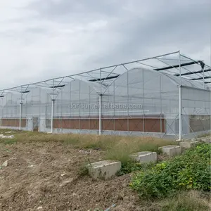 Green House Plastic Agricultural Commercial Mushroom Greenhouse Tunnel Film Grow Equipment Tunnel Multispan Greenhouse For Sale