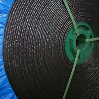 Bande transporteuse plate en caoutchouc ignifuge à 3 plis de 650 mm, 24 MPa pour l'exploitation minière du charbon, découpe et moulage sur mesure disponibles