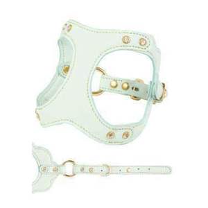 Arnés de cuero premium para perros, acolchado, listo para la playa, con herrajes resistentes al óxido para arena y agua salada. - Product Image 1