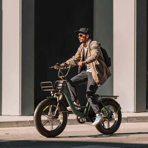 Vélo <span class=keywords><strong>électrique</strong></span> <span class=keywords><strong>tout</strong></span>-<span class=keywords><strong>terrain</strong></span> 250W pour trajets urbains, pneus larges 20x4.0, vélo <span class=keywords><strong>électrique</strong></span> pour adultes, autonomie de 100 km, vélo <span class=keywords><strong>électrique</strong></span> de ville, frein hydraulique, CE - Product Image 5