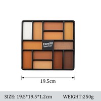 Palette de poudre de contour matifiante longue tenue sans huile, 10 teintes, blush et illuminateur, kit visage pour maquillage quotidien, extérieur et soirées
