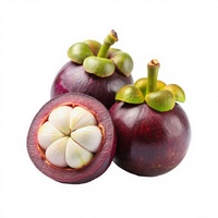 Biologische Premium Verse Mangosteen Fruit, Peptijdige Rijpheid, Oogst Khey Taladthai Graad A, Verpakt in Doos, Thailand, 1-2 Weken Houdbaarheid