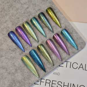 Frenshion Label Pribadi Gaya Baru Bunglon Mengubah Warna Galaxy dengan Chrome Nail Powder Uv Nail Art Gel Kit Set