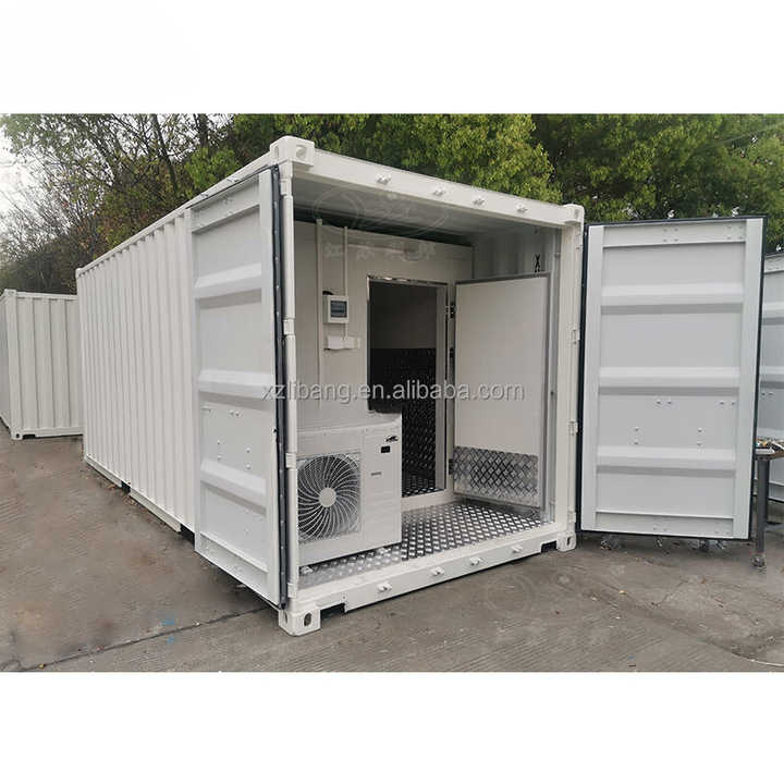 High Quality 40ft GP Refrigerated Cold Storage Reefer Shipping ...