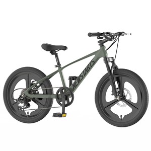 Bicicleta de Montaña para Niños Newstarts de 20 Pulgadas con Horquilla de Suspensión, Multivelocidad, Unisex - Product Image 4