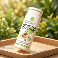 Capsules prébiotiques OEM, probiotiques à double souches de qualité supérieure pour la gestion du poids, ciblant la graisse viscérale et la masse graisseuse corporelle
