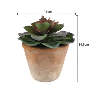 Suculenta Artificial Echeveria en Maceta de Terracota Envejecida, Planta Artificial con Hojas de Suculenta para Decoración Rústica del Hogar <span class=keywords><strong>y</strong></span> Jardín - Product Image 6