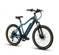 Vélo de montagne électrique en alliage d'aluminium avec assistance, 7 vitesses, 26 pouces, moteur brushless 48V/36V 250W, écran LCD arrière, batterie au lithium