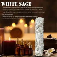 Bundle de sauge blanche de 10cm baguette de bâton de tache de Californie pour les bâtons d'encens spirituels brûlant des paquets de nettoyage d'énergie d'aromathérapie