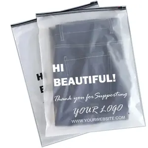 Brand Name Logo Luxury ECO-Friendly Low MOQ Customized Matte Print OPP/PE/EVA top Zipper Plastic Bag/for clothing