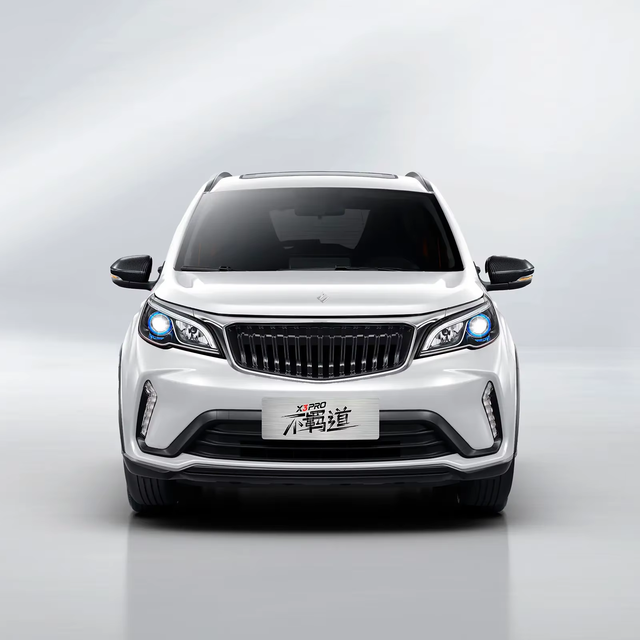 Car New 2024 in Stock Chinese Car Ruilan Automobile X3 PRO 1.5L CVT Xiaosa Edition There Are Vehicles in Stock Chinese Cars
