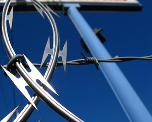 <span class=keywords><strong>Barbelé</strong></span> enduit <span class=keywords><strong>vert</strong></span> de rasoir pour la protection résidentielle - Product Image 5