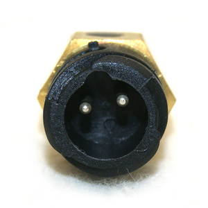 Cảm biến nhiệt độ nước làm mát cho người đàn ông 81.27421.0099 81.27421.0125 81.27421-0099 81.27421-0125 n1.01106.7914 81274210099 - Product Image 3