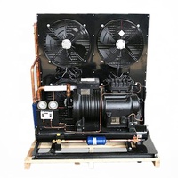 Unidad Condensadora Semihermética de Compresor Scroll Copeland de 5HP, Refrigerada por Aire, con Motor de Ahorro de Energía Automático y PLC para Cuarto Frío