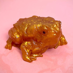 Juguete de TPE con forma de rana para niños de 5 a 7 años, unisex, para aliviar el estrés, artículo decorativo - Product Image 3