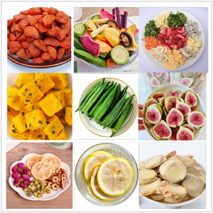 2025 Neues Design Industrieller Gefriert rockner (Gefriert rockner) 20kg Kapazität Vakuum-Gefriertrocknung für Obst Milchpulver Lebensmittel mischer Neu - Product Image 5