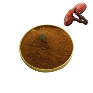 Tùy chỉnh Hữu Cơ <span class=keywords><strong>Ganoderma</strong></span> <span class=keywords><strong>lucidum</strong></span> chiết xuất bột 40% 50% polysaccharides - Product Image 3