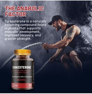 Turkesterone 500mg Cyclodextrin Cápsulas 10 Estandarizado Extracto Muscle Builder Culturismo Suplemento OEM Fuerza Energía 60cp - Product Image 4