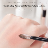 Pinceau de maquillage professionnel à manche en bois, poils naturels, pour fard à joues et highlighter, pour petites zones, effet lumineux et transparent