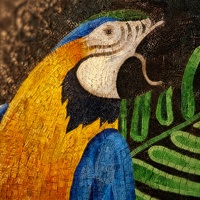 Seni Mural Kaca Pola Burung Beo Modern Buatan Tangan, Ubin Mosaik Porselen dan Keramik untuk Dekorasi