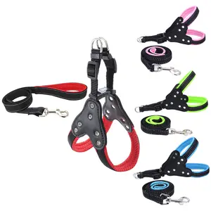 Custom Made Private Label Smart Eco Friendly Pet Dog Exercise Rope nylon Leashes Hardware with Quick Release Buckle