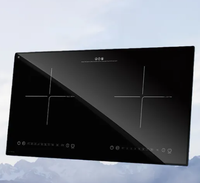 Fabricant chinois de céramique vitrocéramique noire pour panneaux de cuisinières à induction, panneaux de fours à micro-ondes, panneaux de commande tactile
