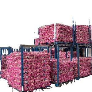 กระเทียมสด 100% บริสุทธิ์ ไม่มีสารกันบูด สำหรับส่งออก - Product Image 6