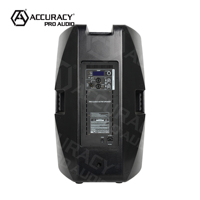 Haut-parleurs CAO12D3-4.1K Accuracy Pro Audio Haut-parleurs extérieurs Bluetooth Audio actifs professionnels Professionnels