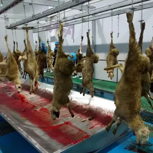 Rel gantung daging, perlengkapan rumah pemotongan domba Abattoir lengkap