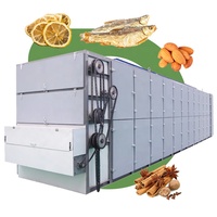 Automatisch Heteluchtgras Moringa Blad Pompoen Ui Vlok Zeewier Fruit Drogen Gedehydrateerde Riem Droger Voor Machine