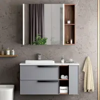 Small Morden Plastic Sink Aluminum Bathroom Vanity Cabinet with LED Mirror