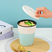 Marmite électrique domestique Portable avec cuisinière facile à prendre Mini tasse électrique Noddle en acier inoxydable plaque chauffante couvercle en verre