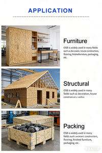 Tablero de Virutas Orientadas (<span class=keywords><strong>OSB</strong></span>) <span class=keywords><strong>para</strong></span> Carpintería Decorativa Específica <span class=keywords><strong>para</strong></span> Villas, Embalaje de Tableros de Virutas sin <span class=keywords><strong>Pintura</strong></span> - Product Image 3