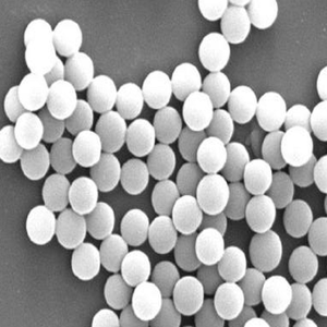 <strong>Polystyrene</strong> <strong>Particles</strong> Monodisperse,PS <strong>Particles</strong> Customized multi-specification flow cytometry standard microspheres - Product Image 4