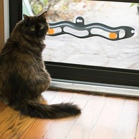 Jouet pour chat intelligent Ballsnter, balle interactive pour chat, balle à ventouse pour chat, balle à mouvement rapide, appel d'oiseau, balle à roulement