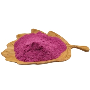 Harga grosir bubuk buah konsentrat jus Blackcurrant larut instan - Product Image 1