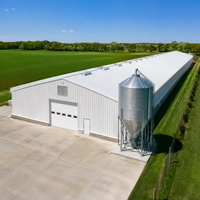 Bâtiment d'élevage avicole préfabriqué en acier durable et économique pour poulets de chair, idéal pour les exploitations modernes.