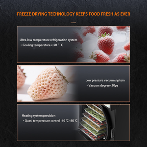 Liofilizador Doméstico Pequeño para Mascotas, Frutas, Verduras, Carne y Líquidos, Liofilizador al Vacío para Uso Doméstico, Conserva la Frescura - Product Image 4