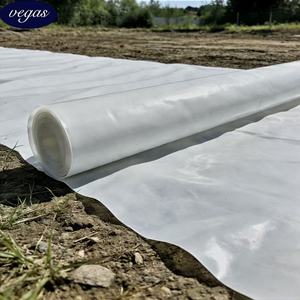 Bâche de <span class=keywords><strong>bassin</strong></span> d'élevage de Tilapia blanche 500-1500 microns – Barrière optimisante pour l'aquaculture de crevettes et de poissons - Product Image 3