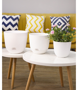 Maceta para Plantas de Interior y Exterior, Macetas para <span class=keywords><strong>Suculentas</strong></span>, Macetas Autorregantes <span class=keywords><strong>con</strong></span> Orificios de Drenaje y Platos - Product Image 4
