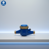 Medidor de Agua Mecánico Ajustable de Hierro Fundido IP68, Certificado ISO 4064, OEM, Alto Rendimiento, Garantía de Fábrica, Calibración Externa