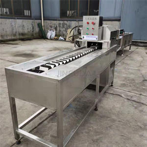 Cob de maíz dulce de acero inoxidable, cola de cabeza cortada al vacío, grandes cantidades, cola de maíz, se pueden usar todas las variedades de maíz - Product Image 4