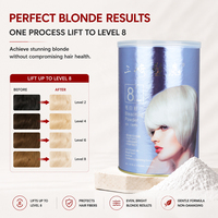 Poudre décolorante pour cheveux SANQI professionnelle sans poussière 450g, éclaircissement rapide jusqu'à 8+ niveaux pour la coloration des cheveux en salon