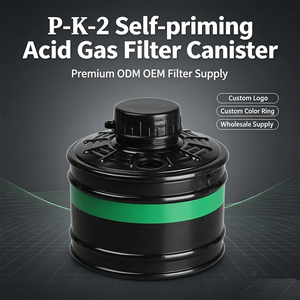 Großhandel Anorganische Gasfilterkartusche für Gasmaske Gegen H2S Ammoniak Petrochemische Abwassernutzung - Product Image 1