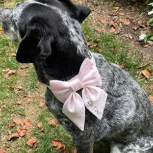 Nœud papillon en satin pour <span class=keywords><strong>chien</strong></span> – Tenue personnalisée pour <span class=keywords><strong>chien</strong></span> pour Halloween et Noël – Couleurs et polices personnalisables – Nœud ajustable écologique - Product Image 2