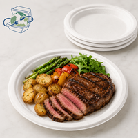 Assiette ronde jetable en bagasse de canne à sucre compostable de 9 pouces, robuste, pour la restauration en gros