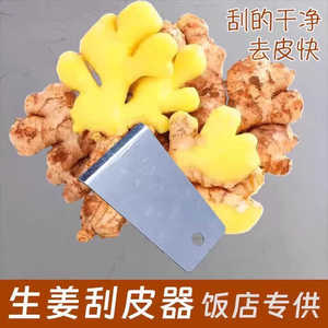 Éplucheur de gingembre en acier inoxydable, outil de raclage pour l'ail, les pommes de terre et le taro, ustensile de cuisine en métal - Product Image 4