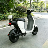 Bicicleta Eléctrica Urbana M12 48V 350W, Neumático de Vacío de 14 Pulgadas, 2 Asientos, Bicicleta Eléctrica para Adultos