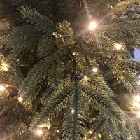 4ft 5ft 6ft 7ft 8ft Künstlicher Vorbeleuchteter PE-PVC-Mix Weihnachtsbaum für Weihnachtsdekoration